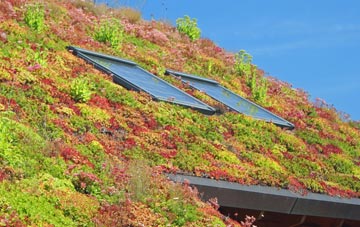 Sandale living roof systems